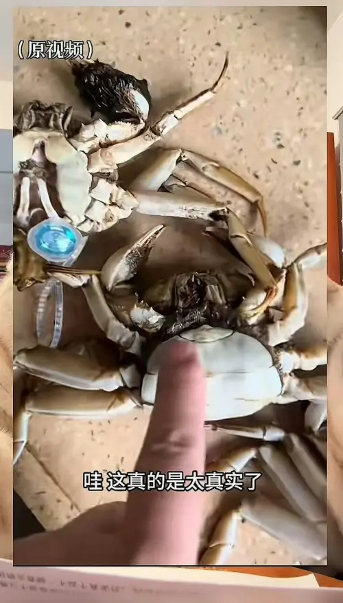 ▲現在AI技術造假越來越逼真，光憑肉眼根本難以分辨。（圖／翻攝自微博）