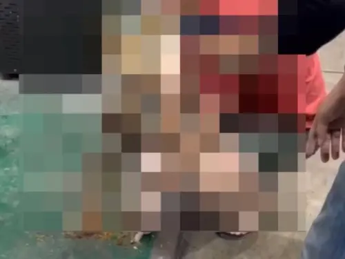 ▲才剛被檢舉！北市女丟垃圾飄詭異惡臭　袋內驚見「多具貓屍遺骸」。（圖／翻攝畫面）