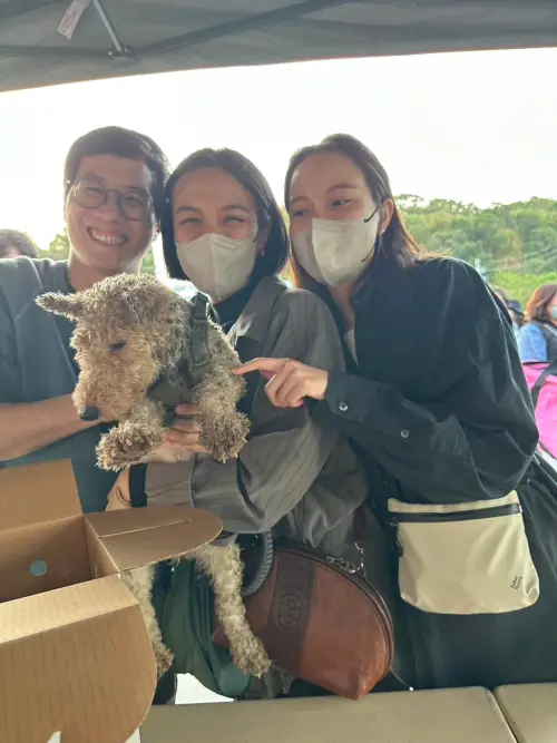 ▲154隻品種狗狗都順利找到了新家、愛牠們的新家人。（圖／苗栗縣動物保護防疫所）