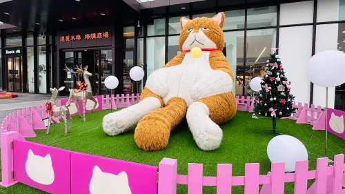 ▲4米高原創人氣IP厭世「橘貓重重」在高雄岡山樂購廣場與民眾近距離見面，超厭世表情療癒指數爆表。（圖／高雄岡山樂購廣場提供）