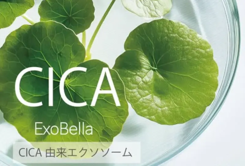 ▲外泌體（Exosome）正以前所未有的速度躍升為熱門關鍵字。（圖／KC SKIN提供）