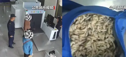 中國女「褲內藏1公斤活蟲」姿勢怪異遭海關攔截！3人走私6kg
