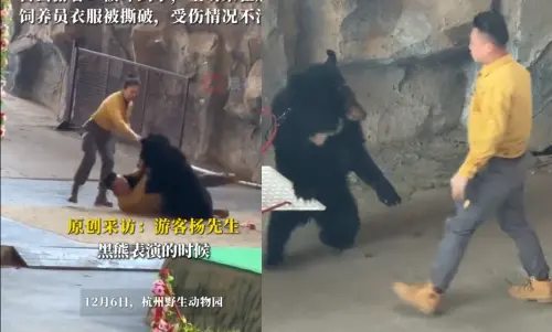 影／中國動物園表演「黑熊猛撲飼養員」疑為搶食遊客全嚇傻
