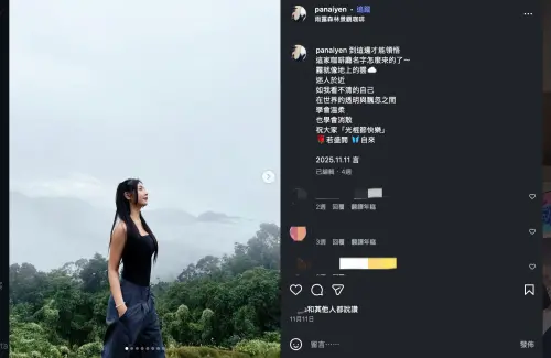 ▲言言光棍節當天貼文暗藏離婚伏筆。（圖／翻攝自言言IG@panaiyen）