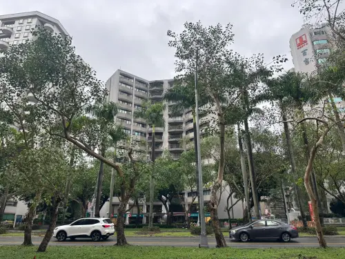 50年老宅每坪衝破百萬！總價逼近億元　張旭嵐曝光原因：燙金地段
