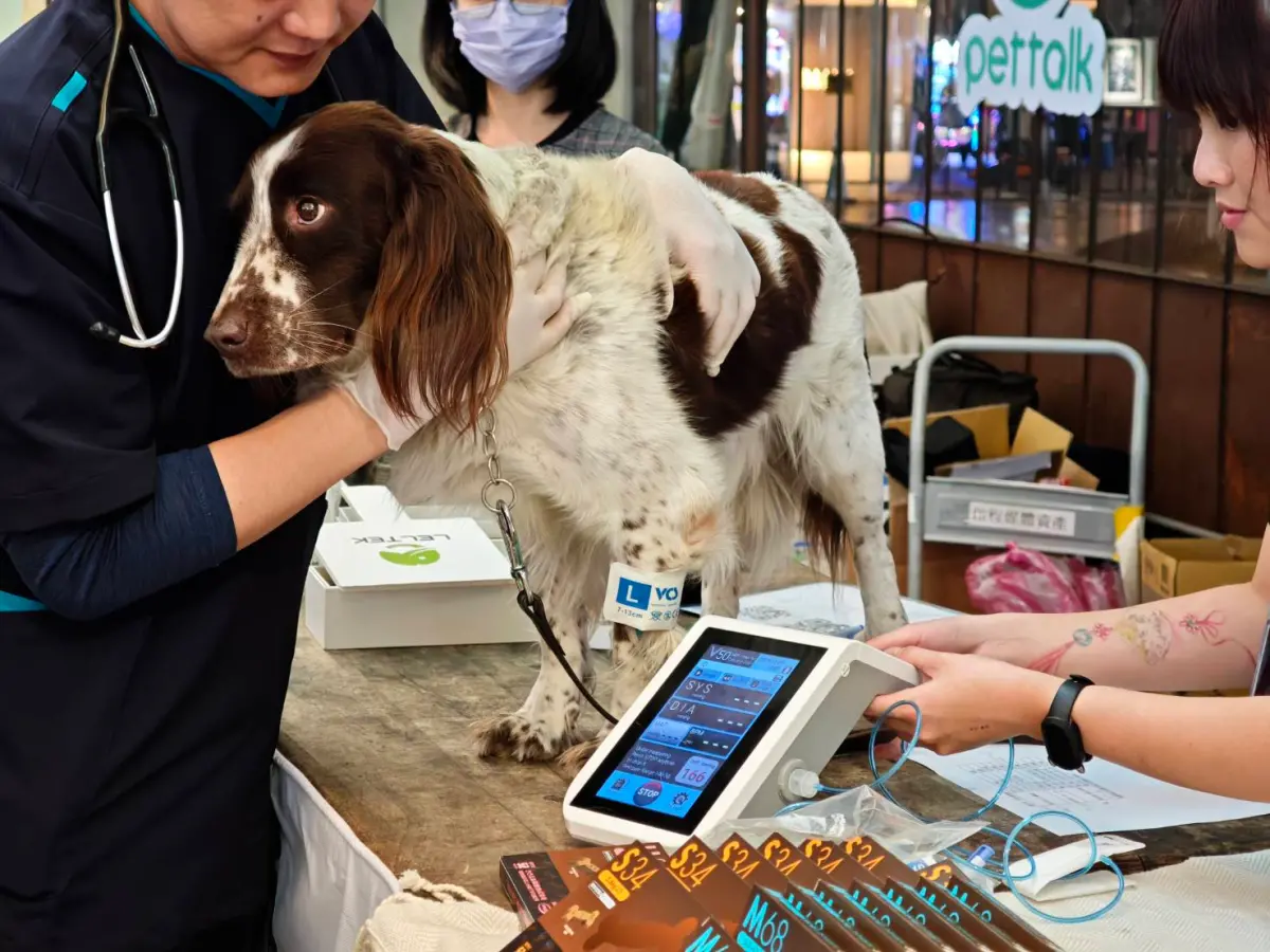 PetTalk邁入十週年 攜FurMi建構AI寵物健康生態