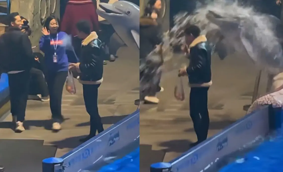 中國男水族館抽菸！小白鯨躍起使用「噴射水柱」滅火 館方澄清了
