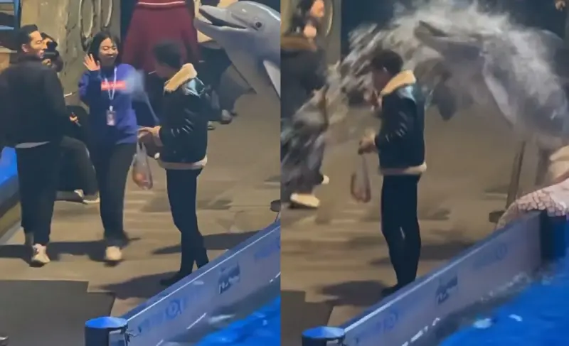 ▲中國大連水族館一名男子吸菸後遭白鯨水柱滅火的畫面，在社群平台掀起討論，館方宣稱這是一部宣傳影片。（圖／翻攝自微博）