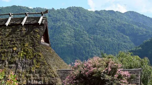 ▲美山町合掌村周圍被山脈包圍。（圖／翻攝畫面）