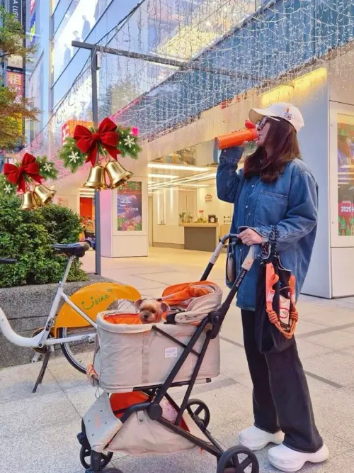 ▲陳美鳳帶愛犬出門做保養、用餐，相當悠閒。（圖／陳美鳳 MeiFen臉書）