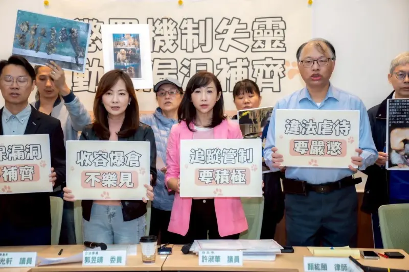 ▲貓屍堆滿屋！許淑華揭北市動保「超血汗」僅因「沒這權限」痛失14條命。（圖／許淑華Hsu Shu-Hua）