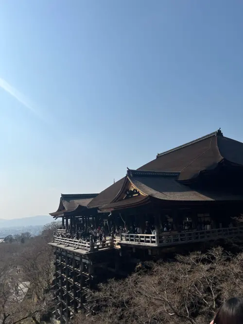 ▲日本京都清水寺（圖／記者賴禹妡攝）