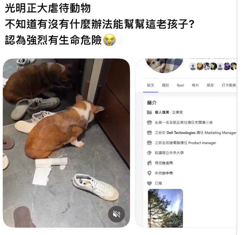 ▲一隻年約15歲的老柯基驚爆受虐，引起網友撻伐、議員介入。（圖／翻攝自郭昱晴Threads、網友jeankuo329）