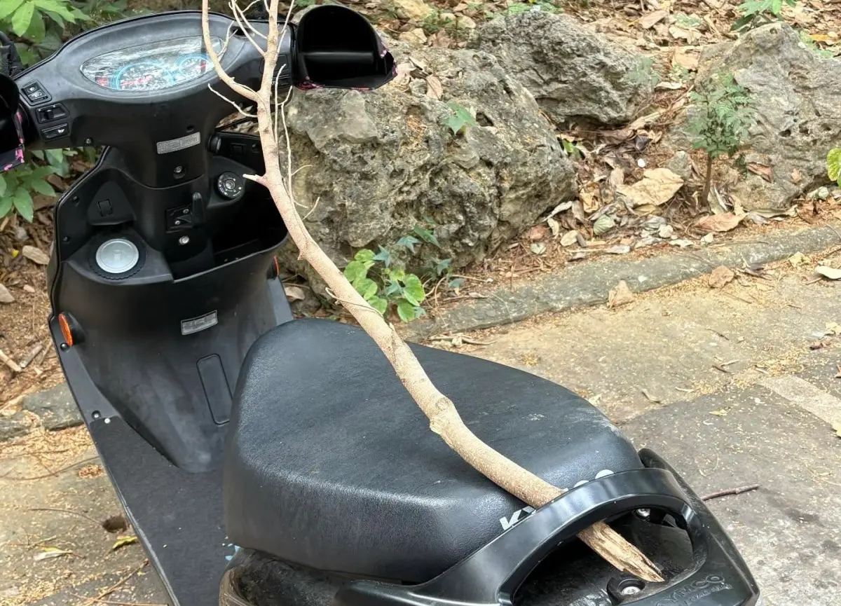 機車突然「卡一根樹枝」！路人直擊全愣住 內行解答用途：太聰明
