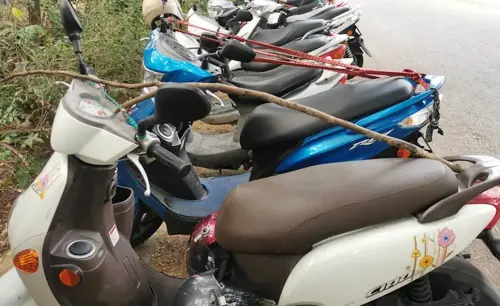 ▲為了避免獼猴翻開車廂找食物，不少人出奇招在機車放上樹枝，以防猴子撬開。（圖／我是高雄人臉書）