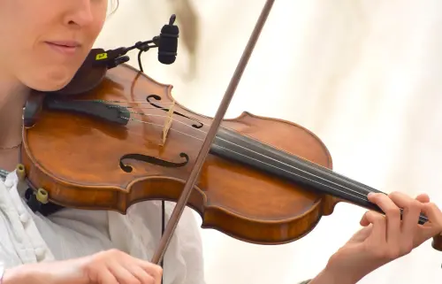 今日歷史／12/13世界提琴日！奇美博物館「線上絕美演奏」超震撼
