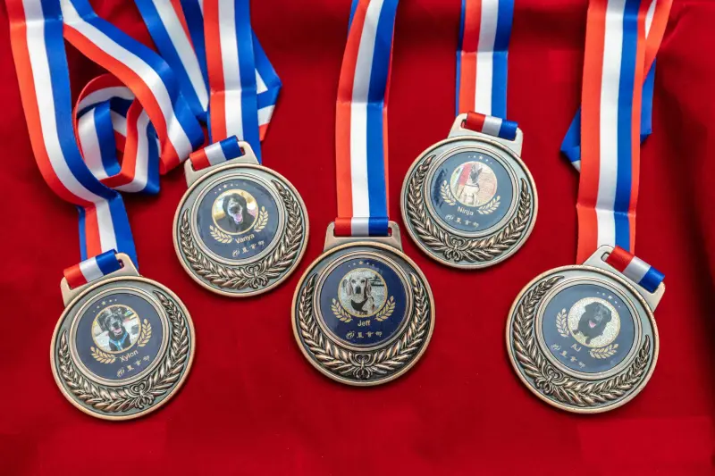 ▲農業部今（12）日舉辦「國家汪汪隊，幸福新啟程」退役犬表揚活動，同時宣布完成執勤犬全面納保。圖為退役犬獎章。（圖／農業部）