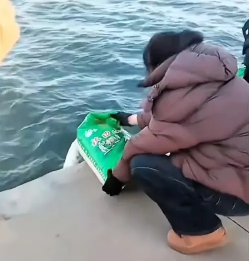 ▲中國遼寧日前有民眾在江邊「放生白米」，將一袋袋白米往江中倒。（圖／翻攝自微博）