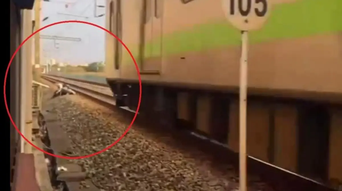 趴地翻滾畫面曝！桃園情侶站在鐵軌上爆口角  路人嚇壞按緊急鈕