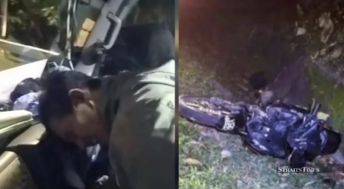 夜間騎車突遇野象 大馬男子撞上翻車逃命摩托車遭踩毀