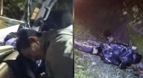 夜間騎車突遇野象　大馬男子撞上翻車逃命摩托車遭踩毀
