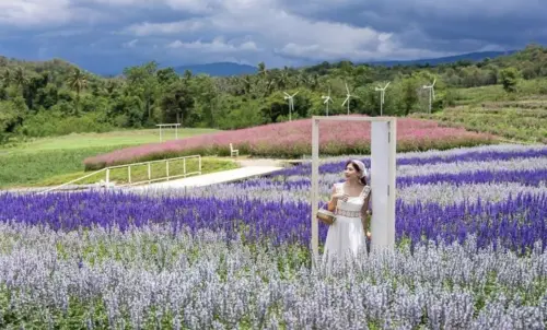 泰國政局震盪觀光照常衝刺　兩大補助上路、旅客爆發力成關鍵
