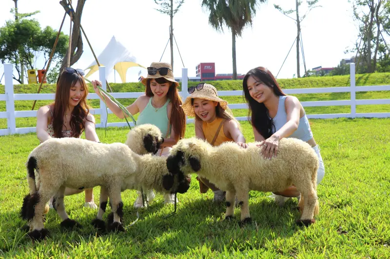 ▲麗寶樂園全新2000坪「美樂地親子農場」試營運免費入園！五大動物互動區看得到水豚、狐獴、笑笑羊、羊駝、鵜鶘與「珍珠奶茶花色」迷你馬等動物還可餵食，開園時間、票價一覽。（圖／麗寶樂園lihpaoresort.com/LihpaolandApp）