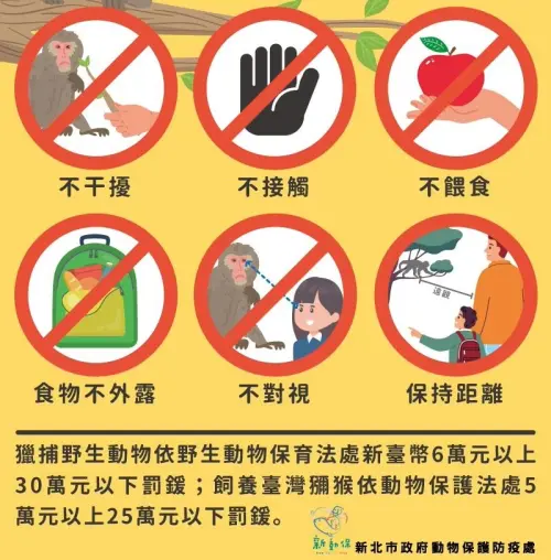 ▲新北市動保處呼籲，和獼猴和平共存遵守「五大原則」。（圖／新北市動保處）