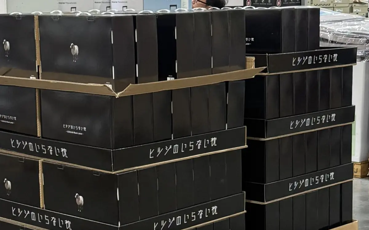 ▲近日有網友發現，日本話題寢具「無羊枕頭」在台灣好市多（Costco）重新上架，引發大量討論。（圖／翻攝自臉書社團「Costco好市多商品經驗老實說」）