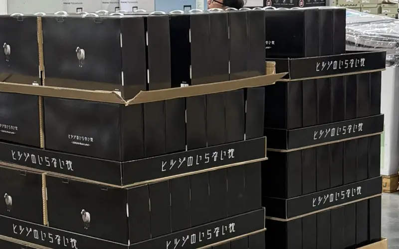 ▲近日有網友發現，日本話題寢具「無羊枕頭」在台灣好市多（Costco）重新上架，引發大量討論。（圖／翻攝自臉書社團「Costco好市多商品經驗老實說」）