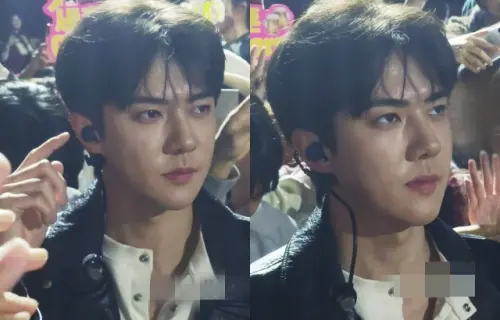 ▲世勳出席EXO粉絲見面會，帥臉引發熱議。（圖／X@SEHUN_FACE）