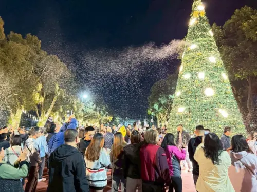 ▲2025苗栗耶誕城打造超越10公尺高的超巨大聖誕主樹，外層有暖白與冰藍光芒交錯，結合燈光律動與定時飄雪特效。（圖／苗栗縣政府提供）