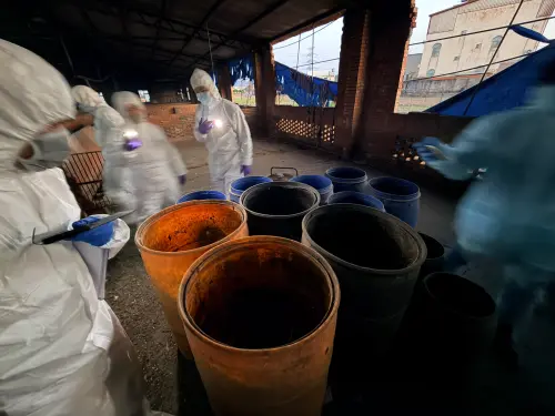 整場賣掉也不夠賠！養豬場麵包廚餘養21豬　中市府重罰400萬元
