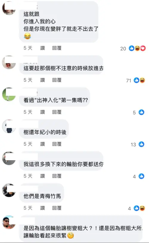 ▲網友好奇輪胎如何套進樹幹，但大家的回答全部歪樓。（圖／江和樹提供，2025.12.17）