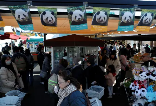▲上野動物園16日湧入大量遊客，不少民眾戴著大貓熊帽子、背著大貓熊包包和穿戴相關裝飾。（圖／路透社／達志影像）