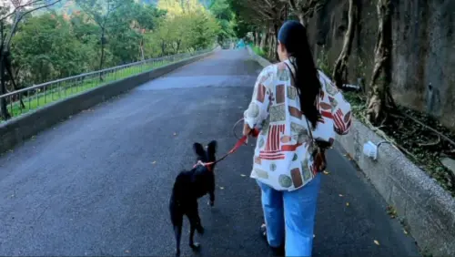 降低認養狗狗退回率！新北推「認養後訓犬課」　協助解決行為問題
