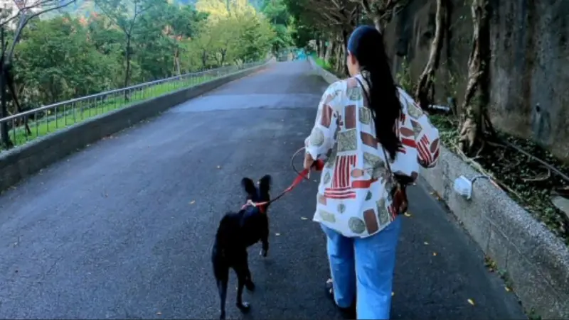 降低認養狗狗退回率！新北推「認養後訓犬課」　協助解決行為問題