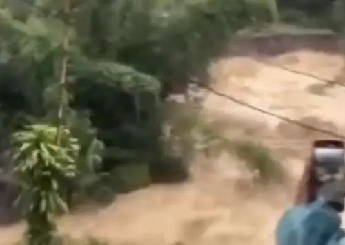 數千人喪命！印尼豪雨狂下爆發土石流　家畜腐屍四散
