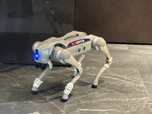 ▲建案還安排有「機器狗代銷」，業者說在中山商圈遛一圈，當天來客數增加好多組。（圖／記者徐銘穗攝）