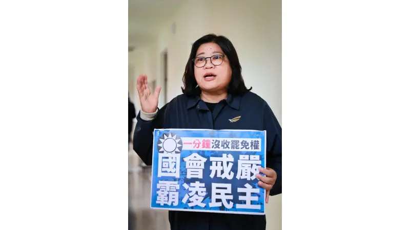 ▲民進黨立委王美惠（圖／劉祐龍攝）