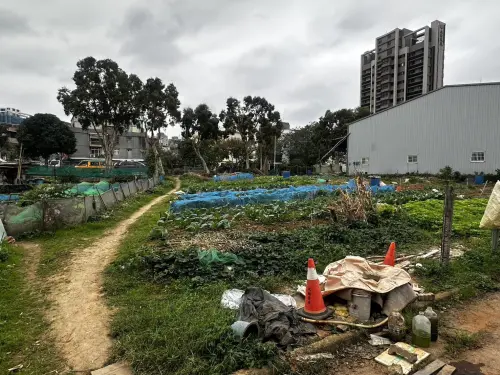 新北林口驚傳砍人案！7旬翁種菜一半「突遭狠砍4刀」當場濺血慘死
