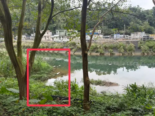 基隆河水又傳汙染　龔明鑫：取水口移至上游恐影響取水
