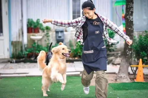 ▲高雄市動保處將持續輔導特定寵物業者優化環境與服務內容，並深化各項動物友善政策，打造讓毛孩安心、飼主放心的宜居寵物友善城市。（圖／高市府農業局提供）