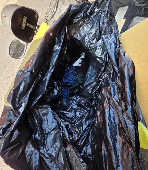 ▲柳丁哥哥送這隻藍腹鷴最後一程，將牠送往南投生物中心做研究。（圖／柳丁哥哥臉書）