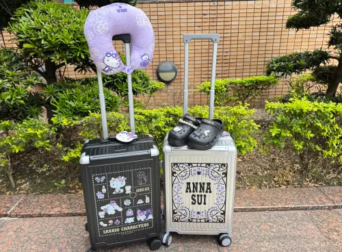 ▲21鋁框雙鎖扣行李箱，售價2999元；三用翻轉絨毛枕，售價549元；限量洞洞鞋，售價499元。（圖／記者鍾怡婷攝）