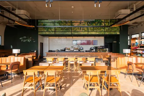 ▲由內而外，彷彿置身綠意環抱。（圖／星巴克starbucks.com.tw）