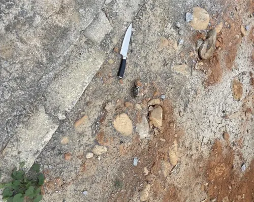 ▲南投一名男子懷疑自己遭到鄰居檢舉製造噪音，因此趁著對方準備外出時先開車撞倒他在持刀猛刺其胸口。（圖/翻攝畫面）