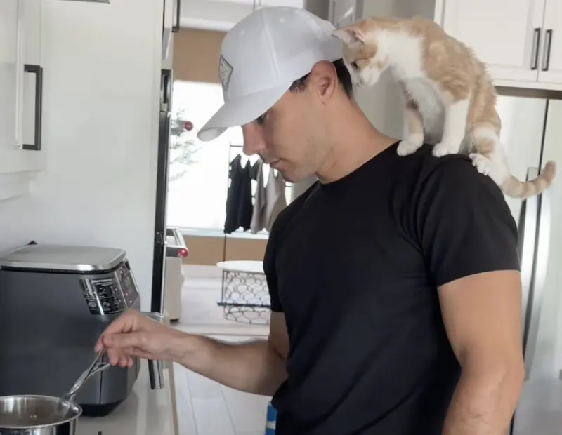 ▲美國佛州一隻小貓因黏人性格意外爆紅，牠在主人下廚時還直接站上肩膀化身「小副廚」，畫面被網友笑稱是貓版《料理鼠王》。（圖／翻攝自TikTok@imbluethesiberiann）