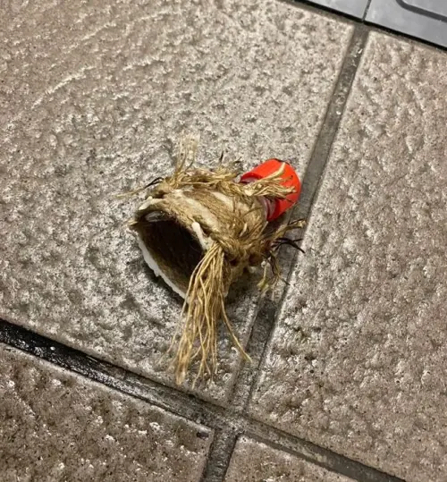 ▲ 台北捷運板南線台北車站今（19）日下午5時24分，正值下班通勤尖峰時段，一名嫌疑人疑於板南線層及地下街一帶，接連使用疑似煙霧彈、汽油彈及刀械，現場一度陷入混亂。（圖／翻攝畫面）