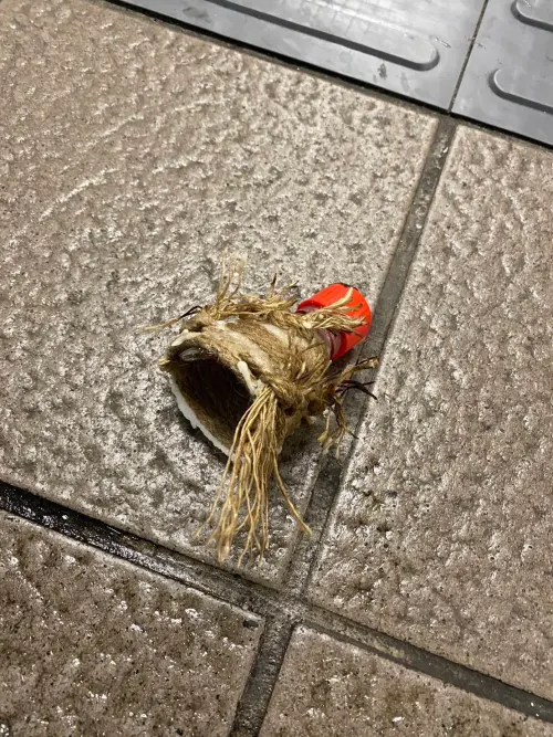 ▲台北車站遭煙霧彈攻擊（圖／翻攝畫面）